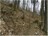 Planinski dom Vrhe - Črni vrh (Čemšeniška planina)